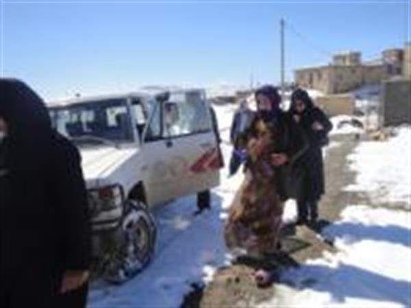 نجات یک خانم باردار در برف و یخبندان در روستای عاشقان شهرستان اسلام اباد غرب