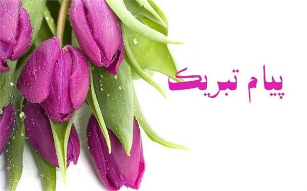 ​پیام تبریک دکتر بیژن کبودی مدیر شبکه بهداشت و درمان  به مناسبت هفته ملی جمعیت1404/02/25