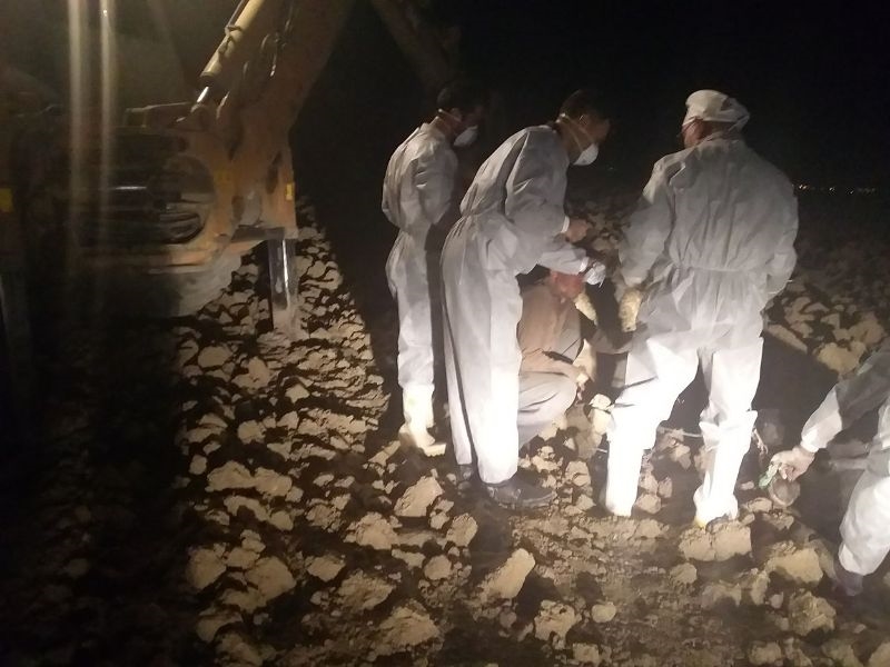 گاومشکوک به هاری 16