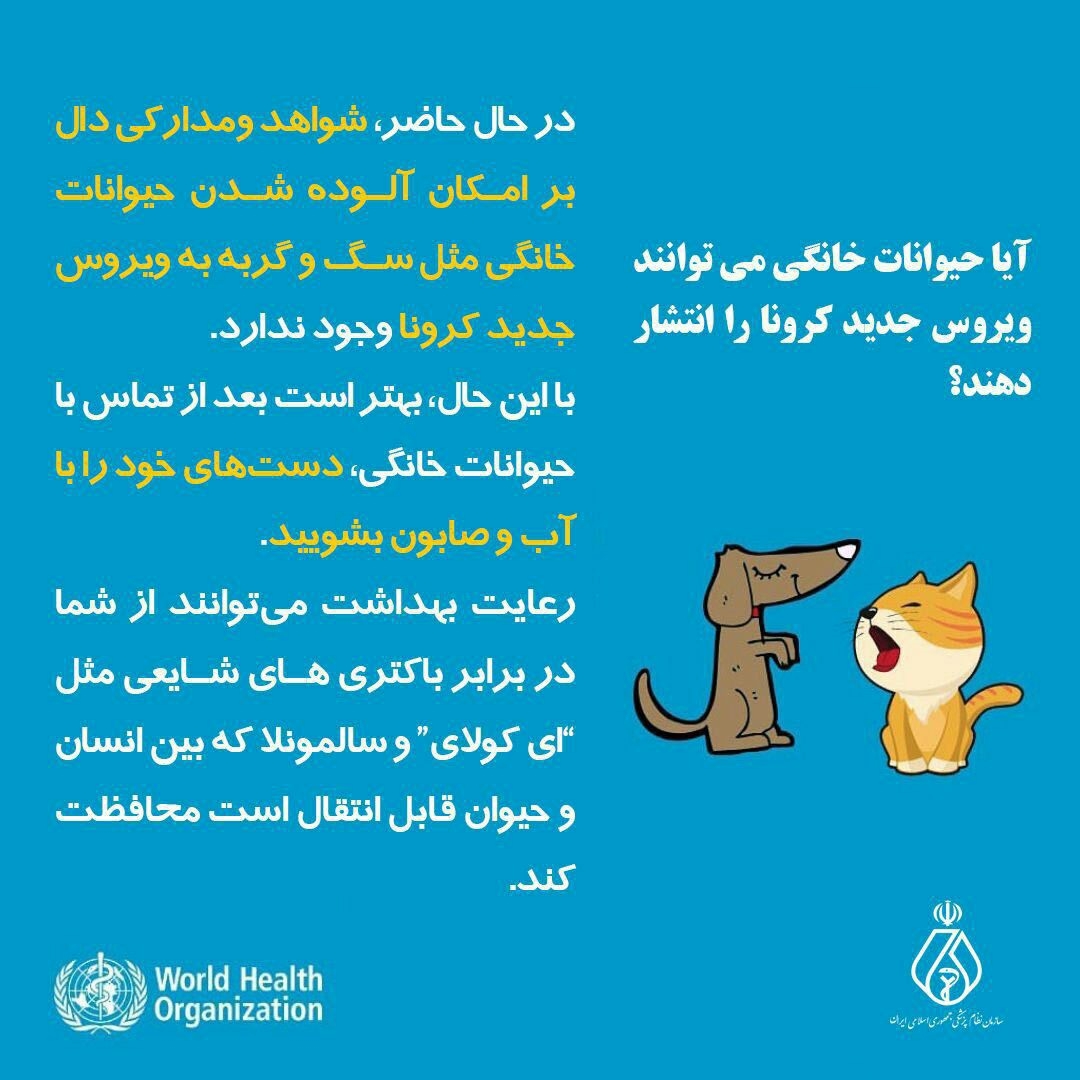 کروناویروس 7