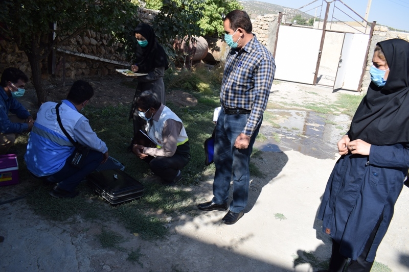 مانور التور 8