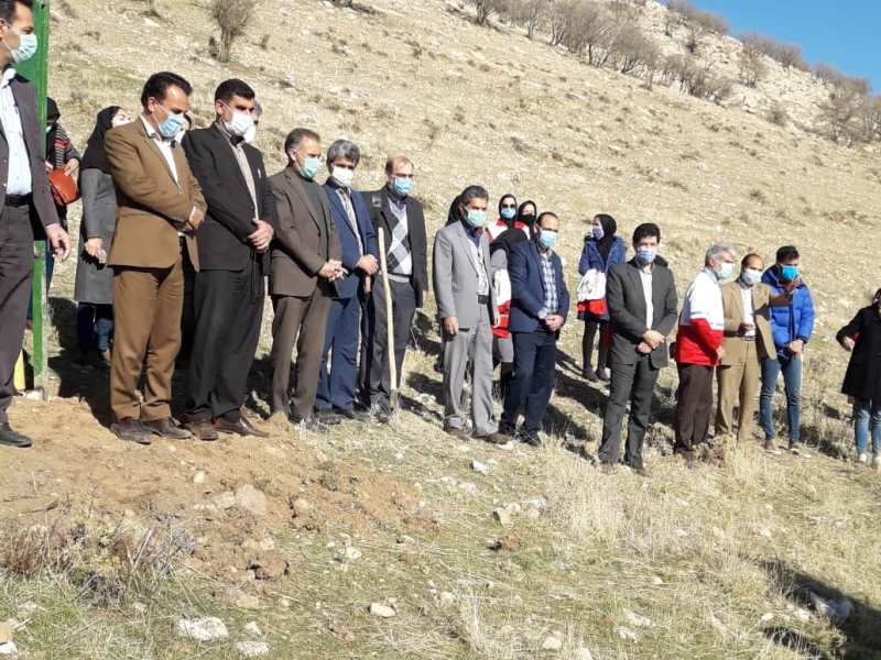 درخت کاری 10