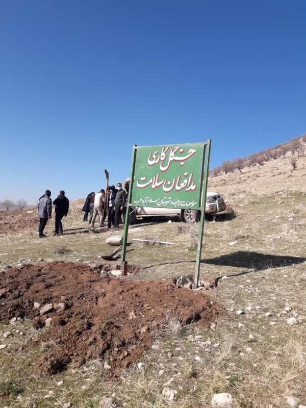 درخت کاری 12