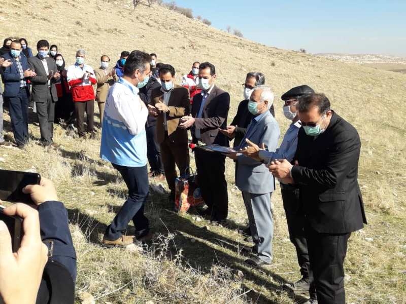 درخت کاری 13