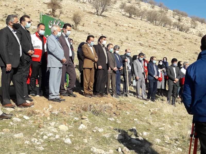 درخت کاری 14