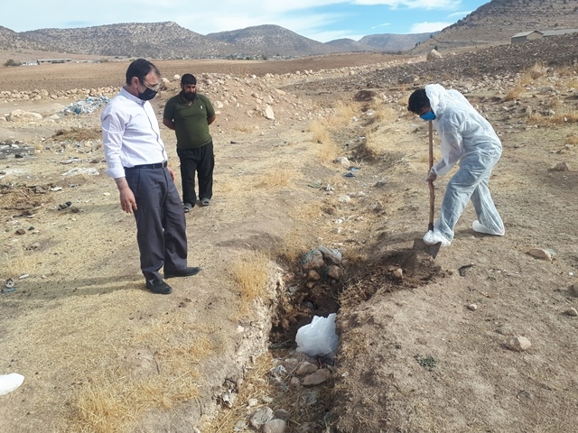 نمونه گیری حیوان مشکوک به هاری 3