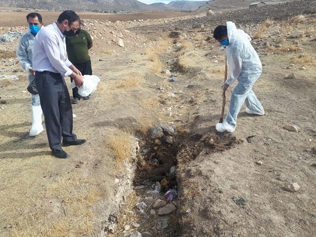 نمونه گیری حیوان مشکوک به هاری 5