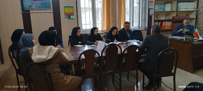 کمیته قارچ 3