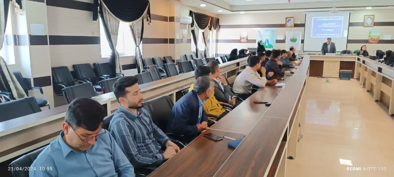 هفته سلامت 4