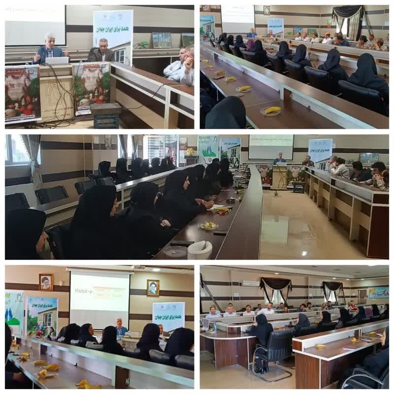 هفته جمعیت 3