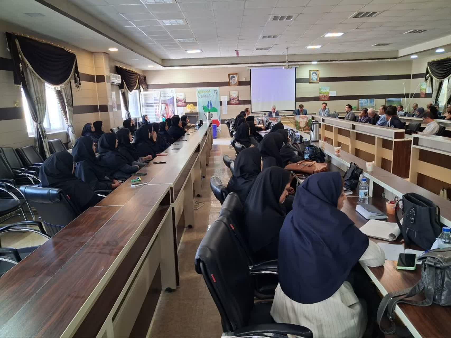 جلسه ایراپن 3