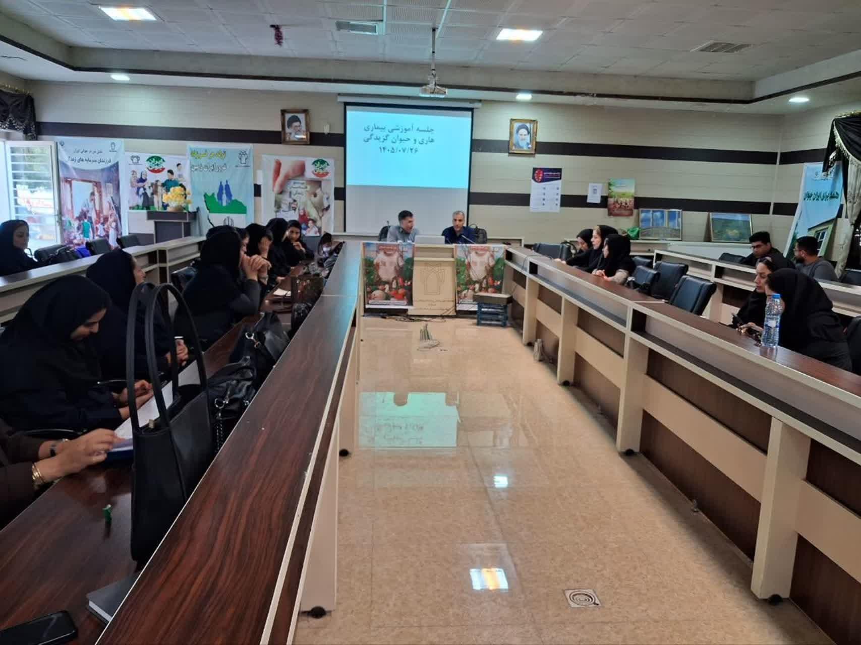 بیماریها 2